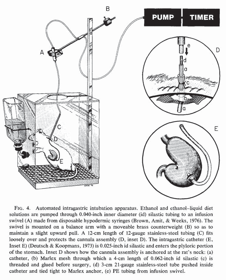 acohol-IEI